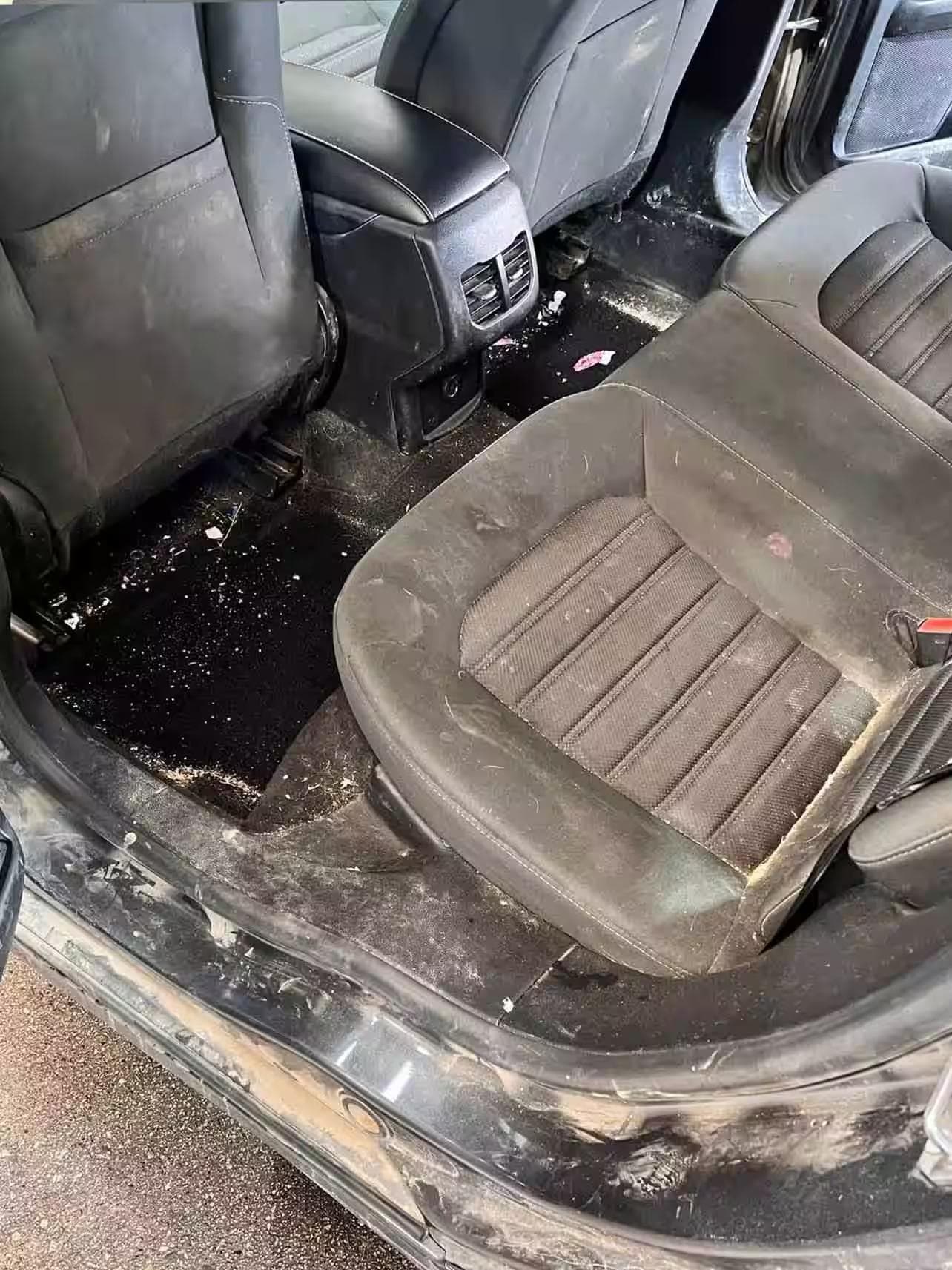 Heavy soil interior — before vs after (before)